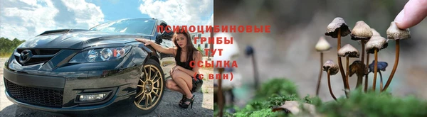 сатива Абаза