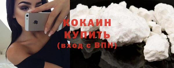 сатива Абаза
