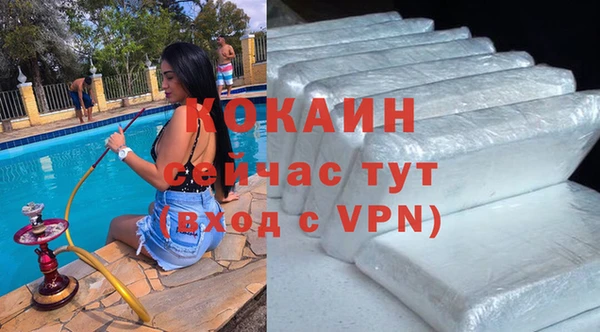 сатива Абаза